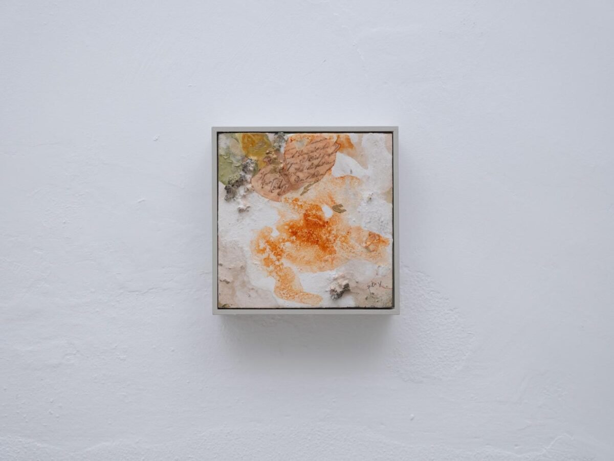 Earth collection 21 x 21
